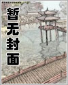 半纪华年g1